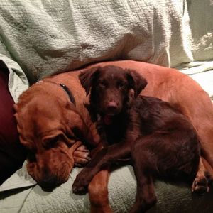 Meet your Posher, Christine